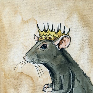 Rat king  Rats, Animals, Rat king