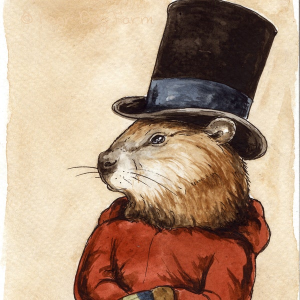 The Confident Groundhog -watercolor  Print