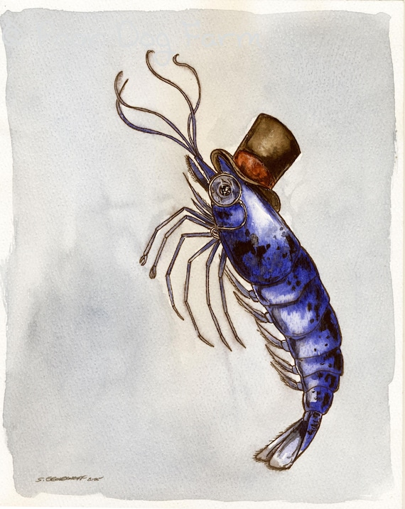 A dapper little Neocaridina Shrimp  (an original hand painted little one)