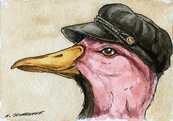 The Pink Headed Duck ~~ No 22  of 100 series- ~ signed watercolor print