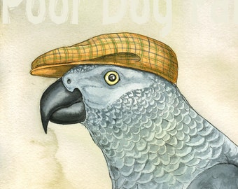 A Dapper African Gray Parrot - watercolor print