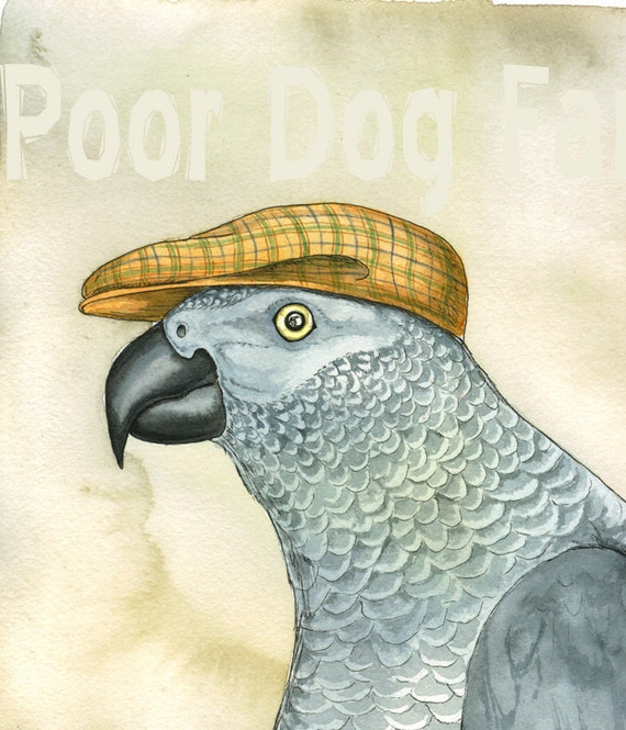A Dapper African Gray Parrot - watercolor print