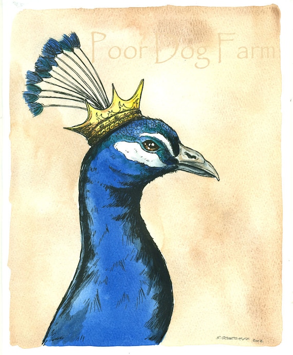 PeaCock King 8x10 hand painted print