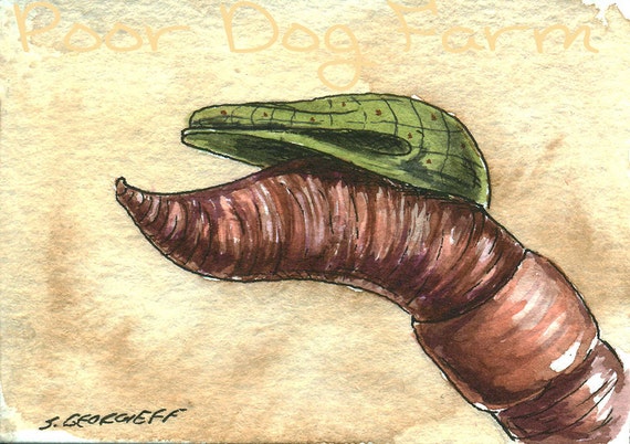 Earthworm in a Hat -watercolor print