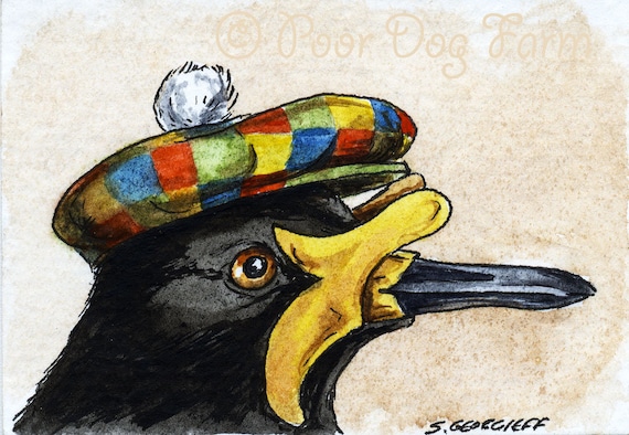 The Javan Lapwing  ~~ No 76 of 100 series- ~ signed watercolor print