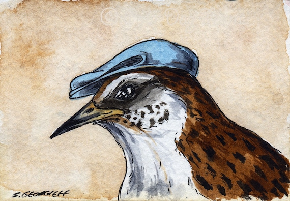 The Chatham Island Fernbird ~~ No 94 of 100 series- ~ signed watercolor print