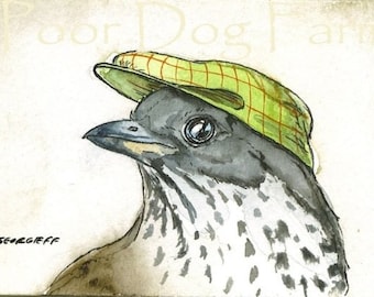 Thrush in a Hat