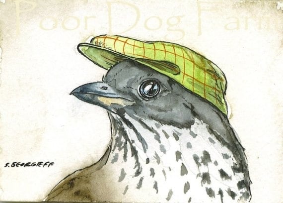 Thrush in a Hat