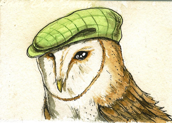 Barn Owl with a Hat