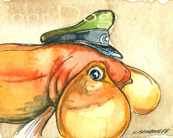 Captain Bubble Eyes..Goldfish -