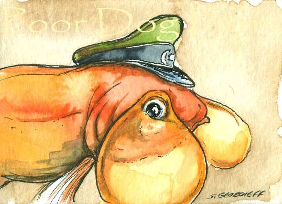 Captain Bubble Eyes..Goldfish -