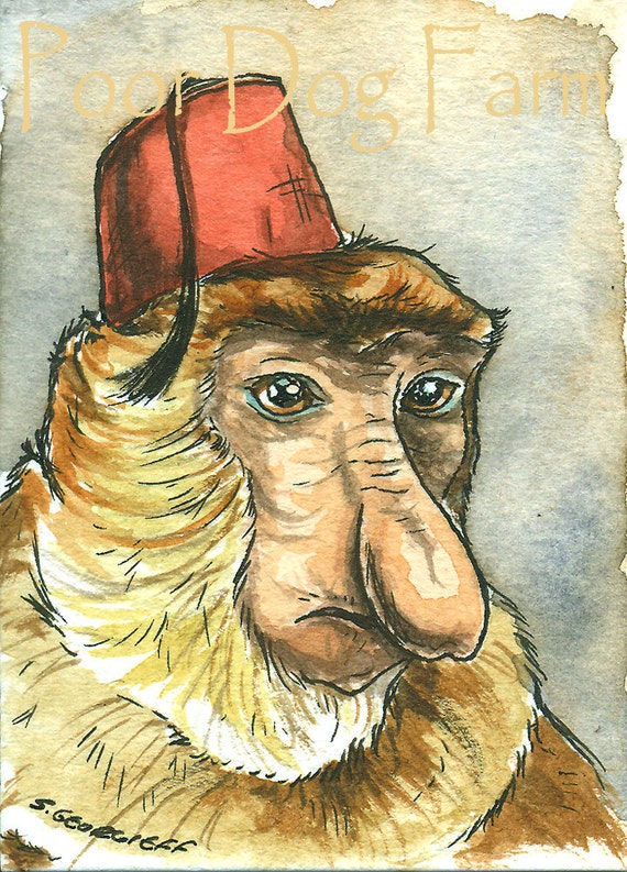 Hello Ladies...Proboscis Monkey in a Fez ~ watercolor print