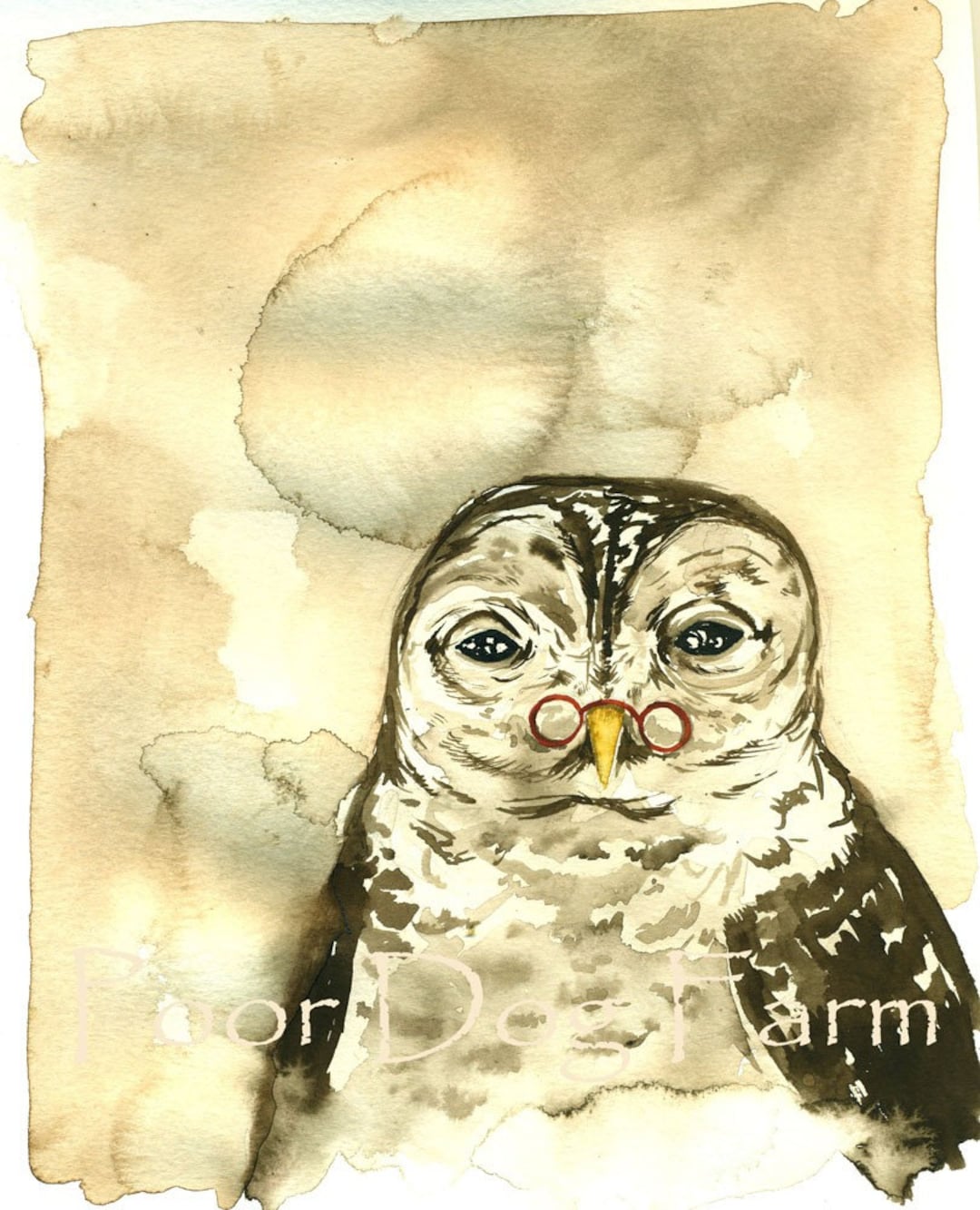 Washed Owl Old Owl Wash - Etsy