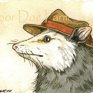 Possum in a hat -- signed watercolor print