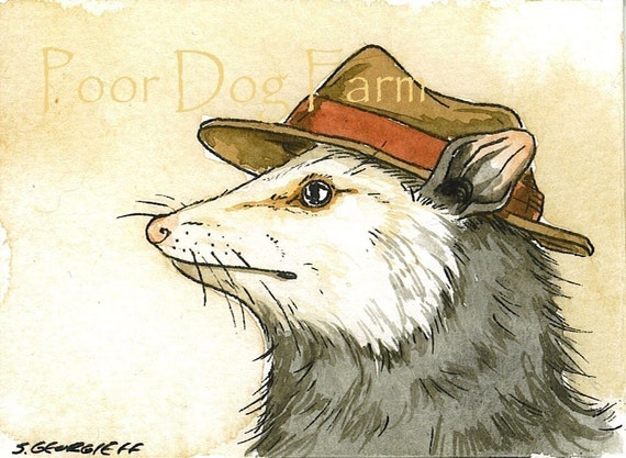 Possum in a hat -- signed watercolor print