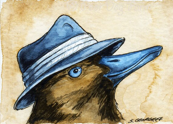 The New Zealand Blue Billed Duck ~~ No 98 of 100 series- ~ signed watercolor print