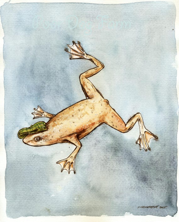 A little African Dwarf Frog (an original hand painted little one)