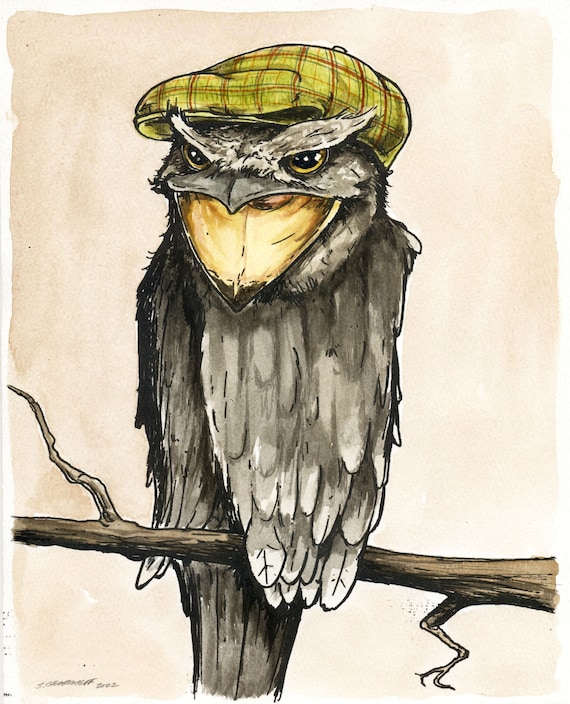 A dapper little Frogmouth (an original hand painted queen)