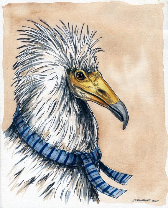 Egyptian Vulture in a Scarf (an original hand painted one)