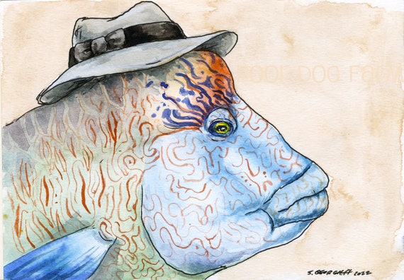 A Handsome Humphead in a Hat