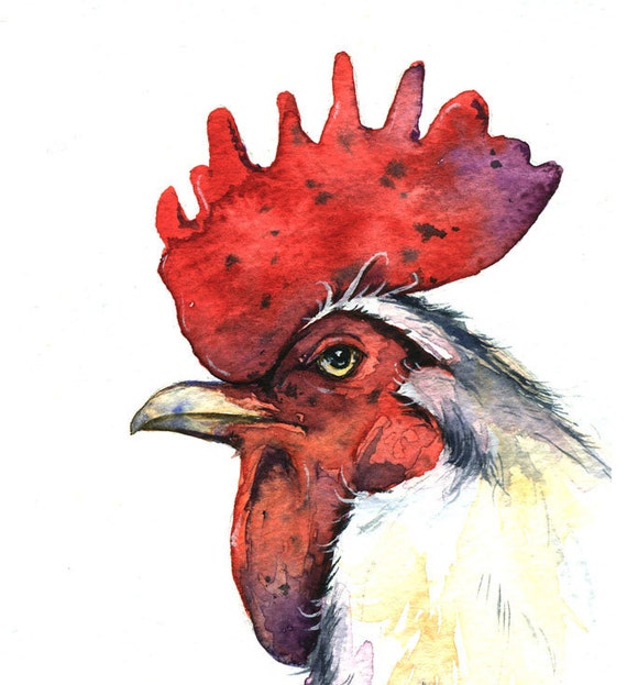 Yet Another Esteemed  White Rooster - Watercolor print