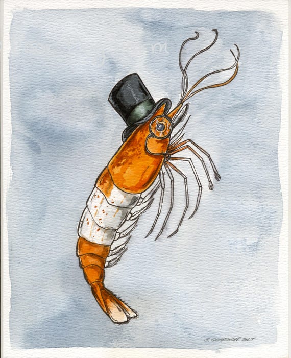 A dapper little Neocaridina Shrimp  (an original hand painted little one)
