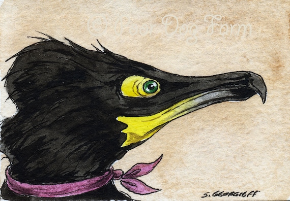 The Special Spectacled Cormorant~~ No 67 of 100 series- ~ signed watercolor print