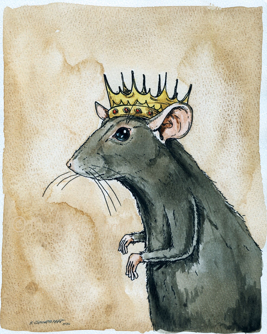 Black Rat King an Original Hand Painted King -   Black rat, Rat king,  Watercolor paintings of animals