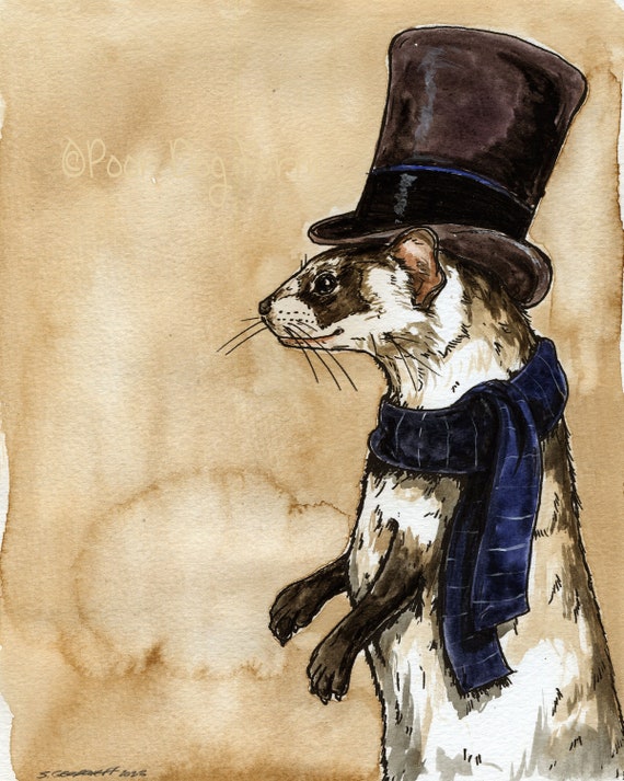 A dapper Black-Footed Ferret  (an original hand painted refined one)