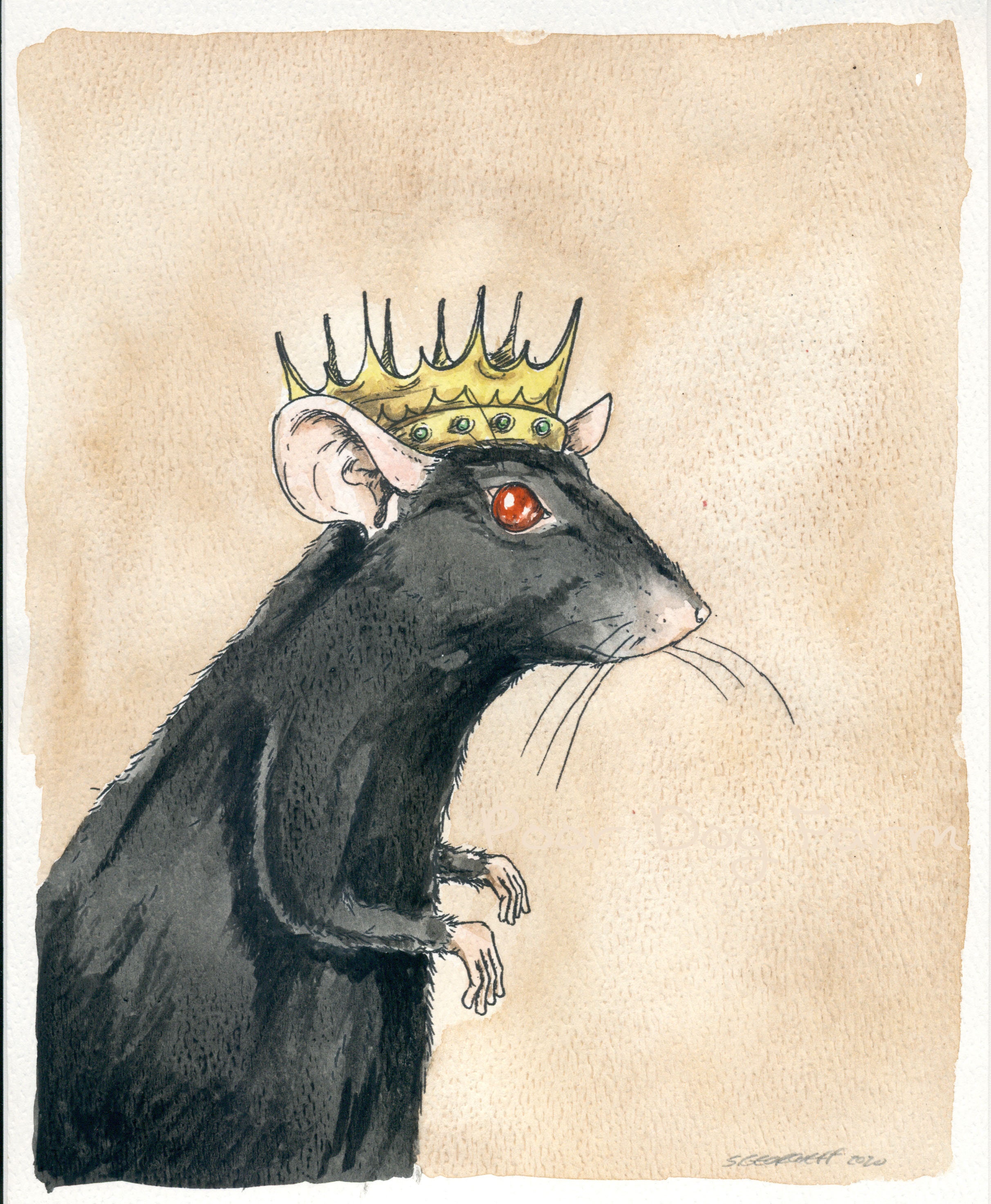 Illustration of a rat king