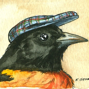 Baltimore Oriole in a Hat ~ signed watercolor print