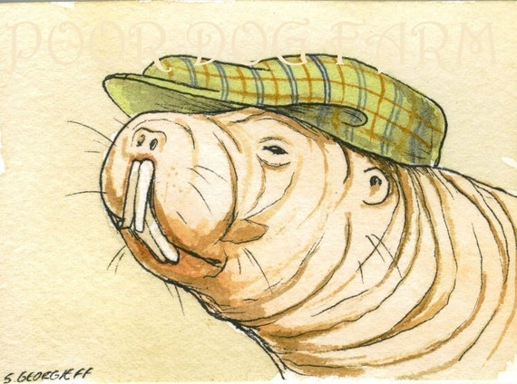 I know what your thinking  - Naked Mole Rat