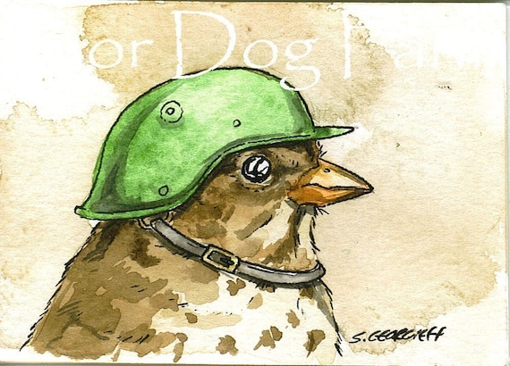 Birds in helmets  n0. 1