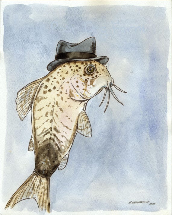 A dapper little Corydora  (an original hand painted little one)