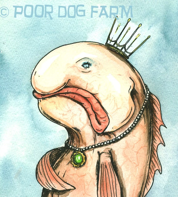 Blobfish Queen (an original hand painted king)