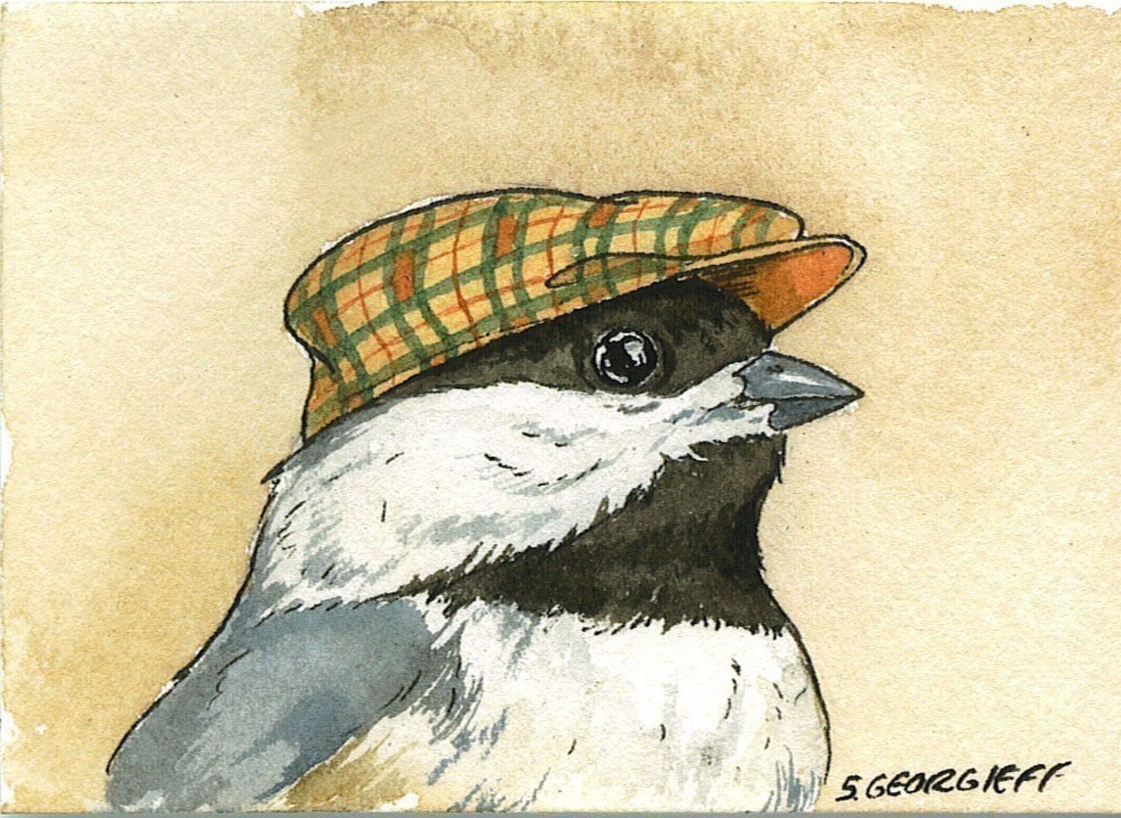 Птица в шляпе рисунок