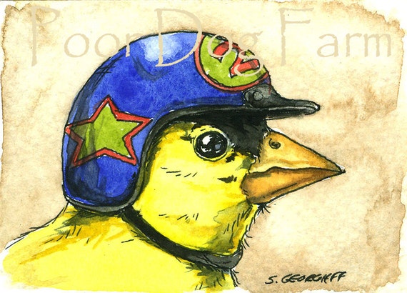 Yellow Finch in a Biker Helmet- watercolor PRINT