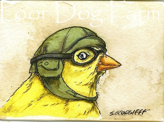 Birds in helmets n0.2 -