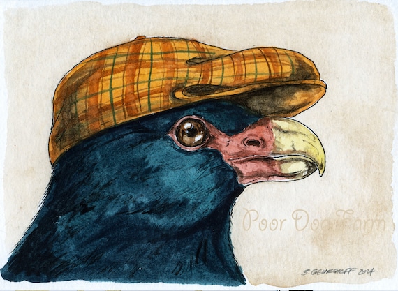 A dapper Tooth-billed Pigeon- ~ signed watercolor print
