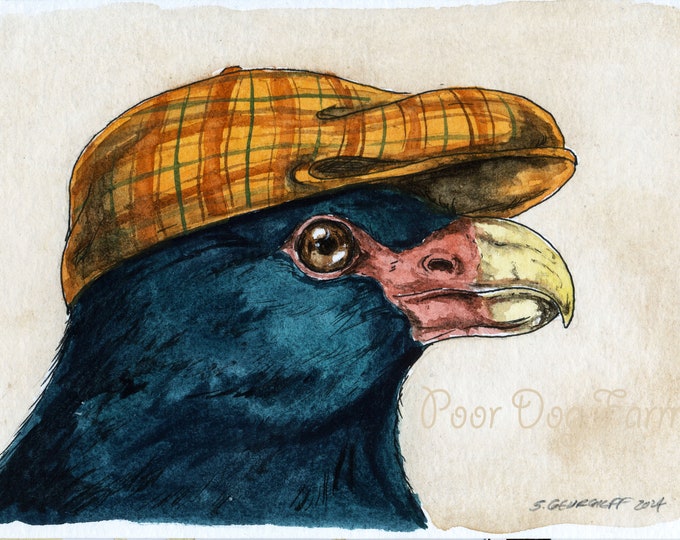 Un pigeon à bec dentaire pimpant - ~ impression aquarelle signée