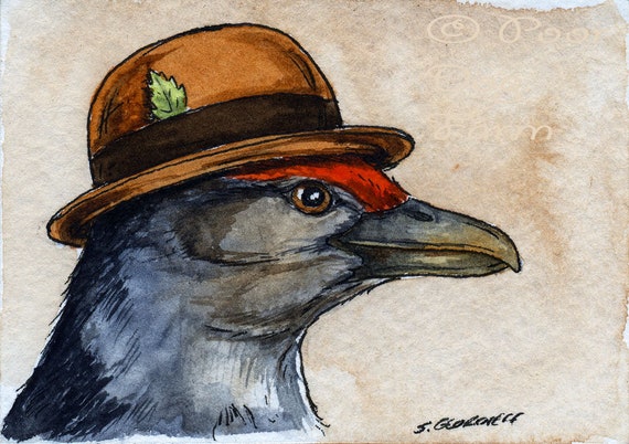 The Viti Levu Scrubfowl~~ No 70 of 100 series- ~ signed watercolor print