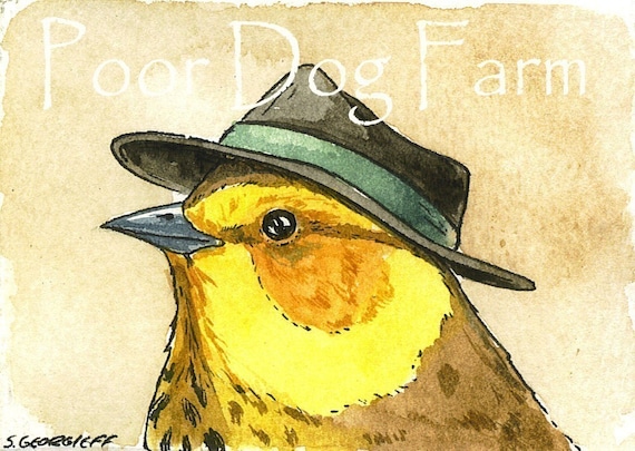 Tiny Warbler with Hat  - 5 x 7 print