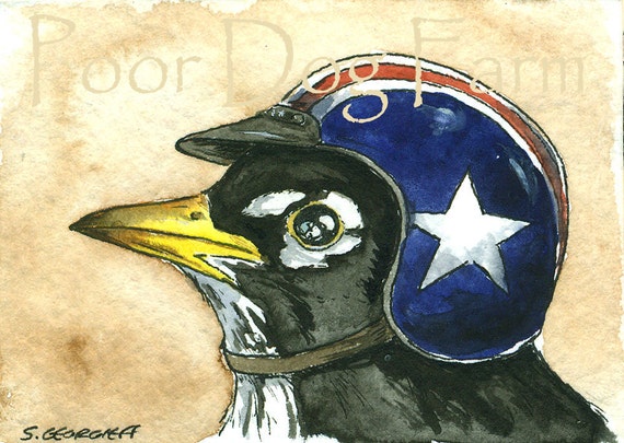 All American Robin a Biker Helmet
