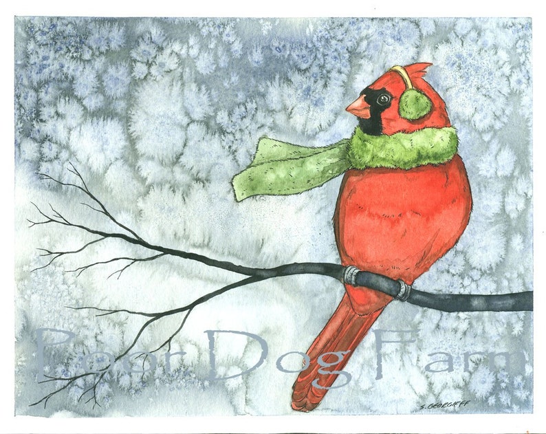 Cold Cardinal Winter 8 x 10 print image 2