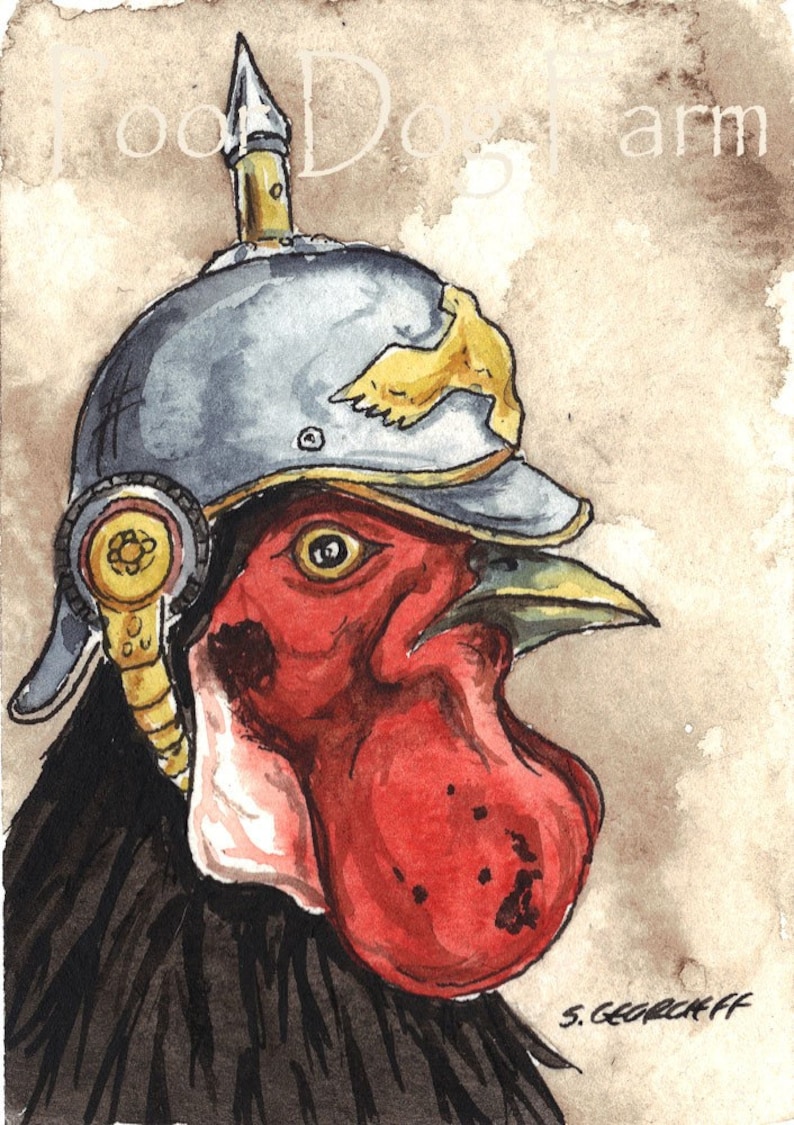 Black Rooster in a helmet image 1