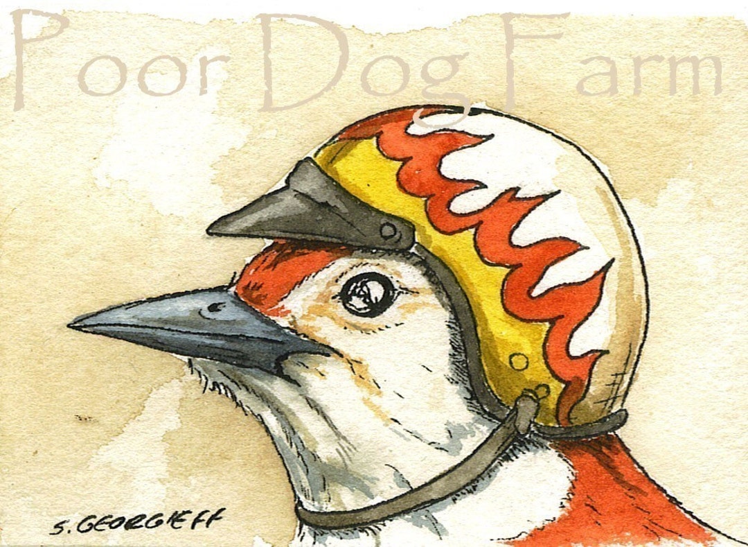 Woodpecker in Biker Helmet Watercolor Print Etsy