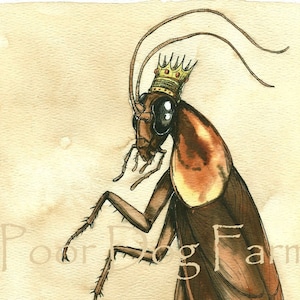 May include: A watercolor illustration of a cockroach wearing a gold crown with red jewels. The cockroach is brown and has long antennae. The background is a light brown.