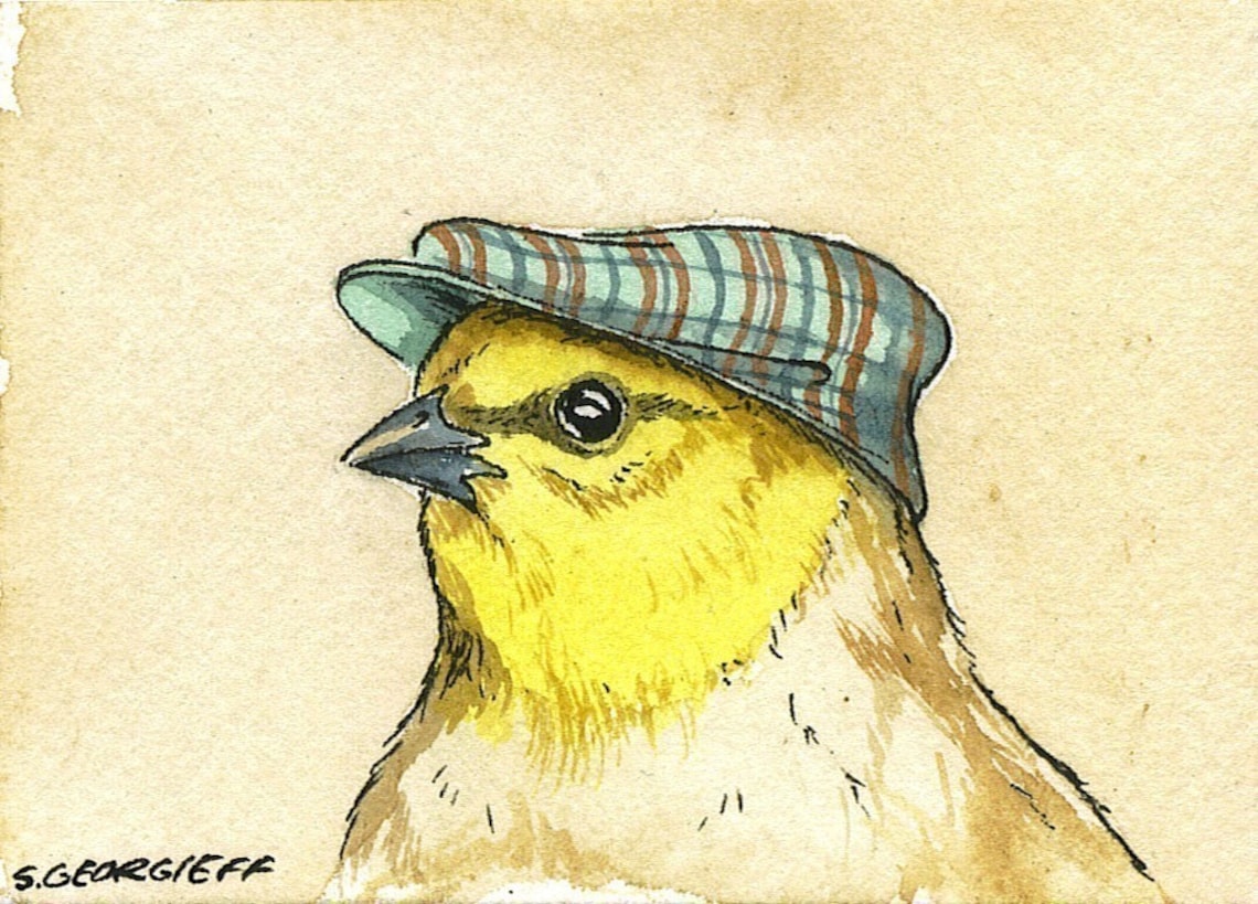 Birds in Hats Set No.2 special Set of 4 ACEO Printsand Etsy