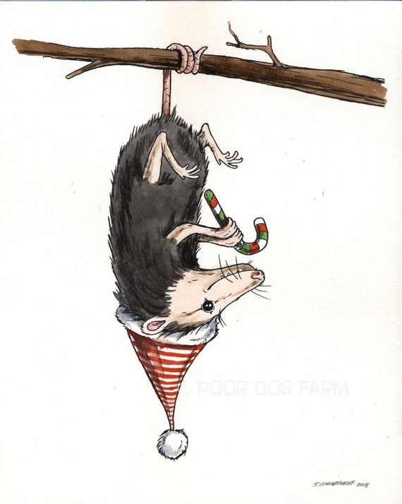 A Festive Fellow..  The Holiday Possum  8 x 10
