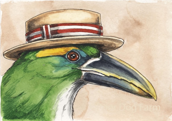 The Yellow-Browed Toucanet- watercolor print